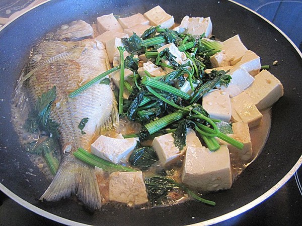 海魚燜豆腐