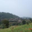 彎子頭村(雲南宣威市務德鎮下轄村) 彎子頭村(雲南宣威市務德鎮下轄村)