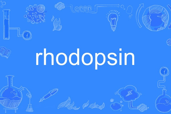 rhodopsin rhodopsin