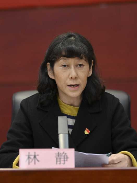 林靜(貴州省委第三巡視組副組長) 林靜(貴州省委第三巡視組副組長)
