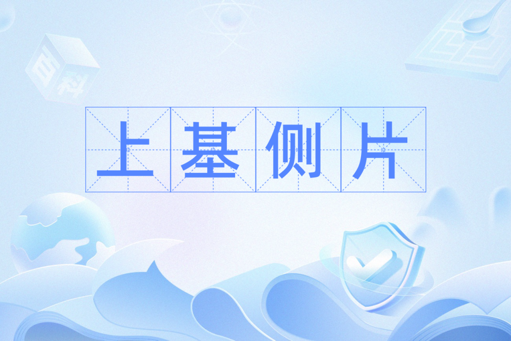 上基側片 上基側片