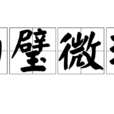白璧微瑕 白璧微瑕