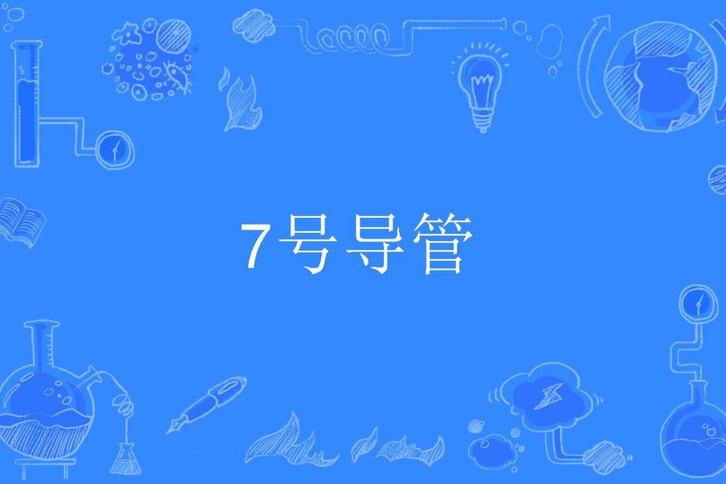 7號導管 7號導管