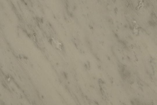 義大利白 義大利白