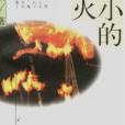 小小的篝火 小小的篝火