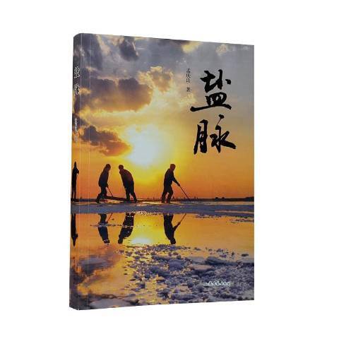 鹽脈(2021年山東文藝出版社出版的圖書) 鹽脈(2021年山東文藝出版社出版的圖書)