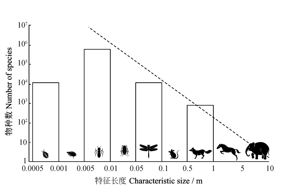 以特徵長度來分類的所有陸生動物物種數