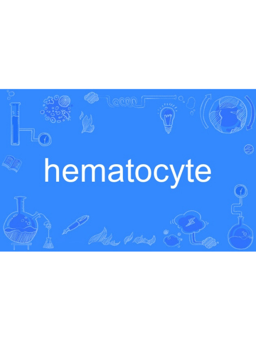 hematocyte hematocyte