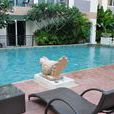 Park Lane Resort by Pattaya Capital Property Park Lane Resort by Pattaya Capital Property