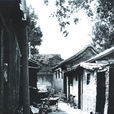 頭髮胡同 頭髮胡同