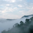 大木克村 大木克村