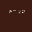 宸王寵妃 宸王寵妃