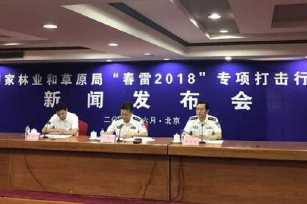 春雷2018 春雷2018