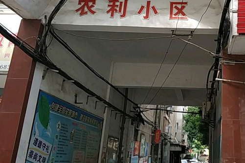 農利小區 農利小區