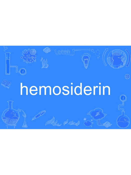 hemosiderin hemosiderin
