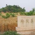 漢齊王墓 漢齊王墓