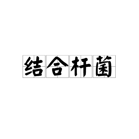 結合桿菌 結合桿菌