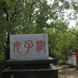 母子樹 母子樹