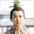 李智雲(唐高祖李淵第五子) 李智雲(唐高祖李淵第五子)