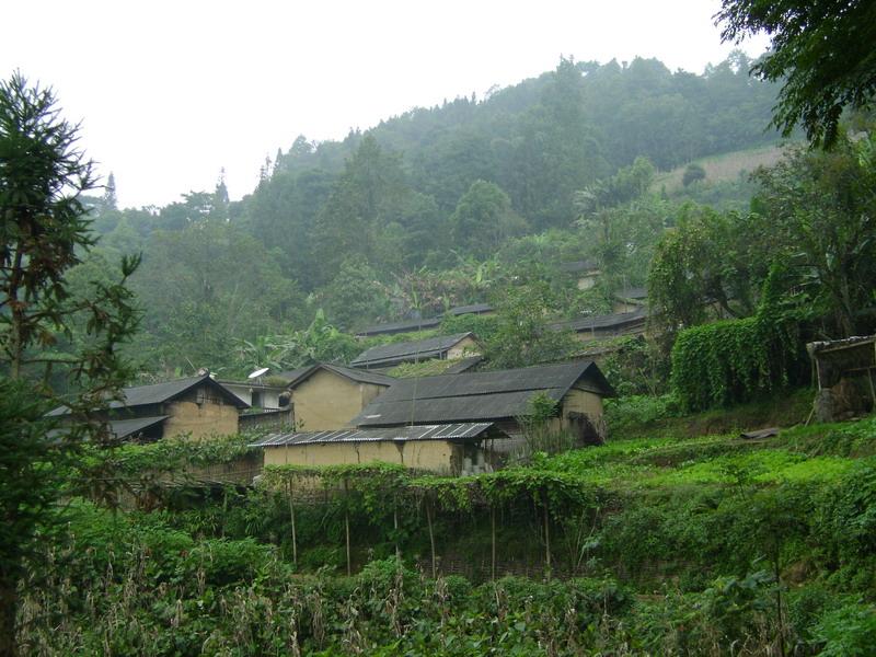蘆子箐村(金平苗族瑤族傣族自治縣沙依坡鄉金水村)