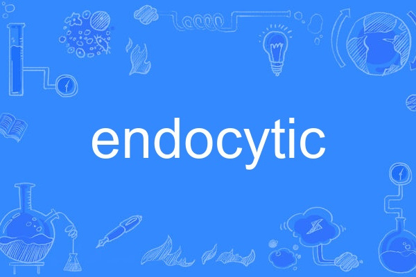 endocytic endocytic