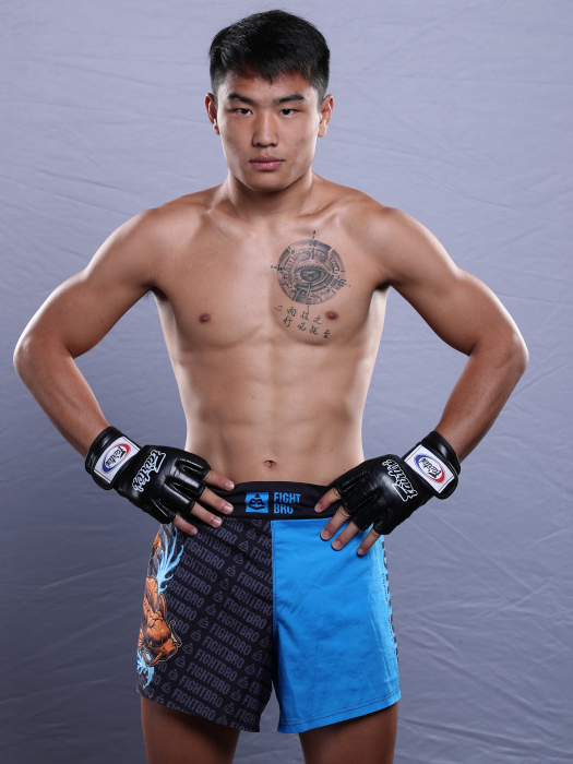 王震(綜合格鬥運動員) 王震(綜合格鬥運動員)