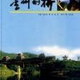 貴州的橋 貴州的橋