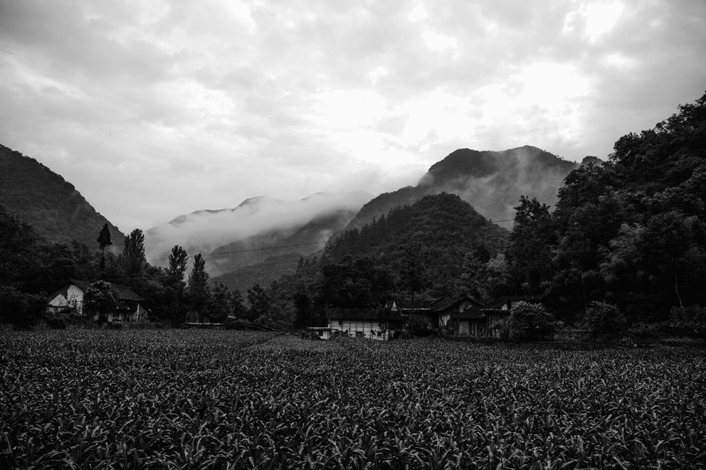 團雲村 團雲村
