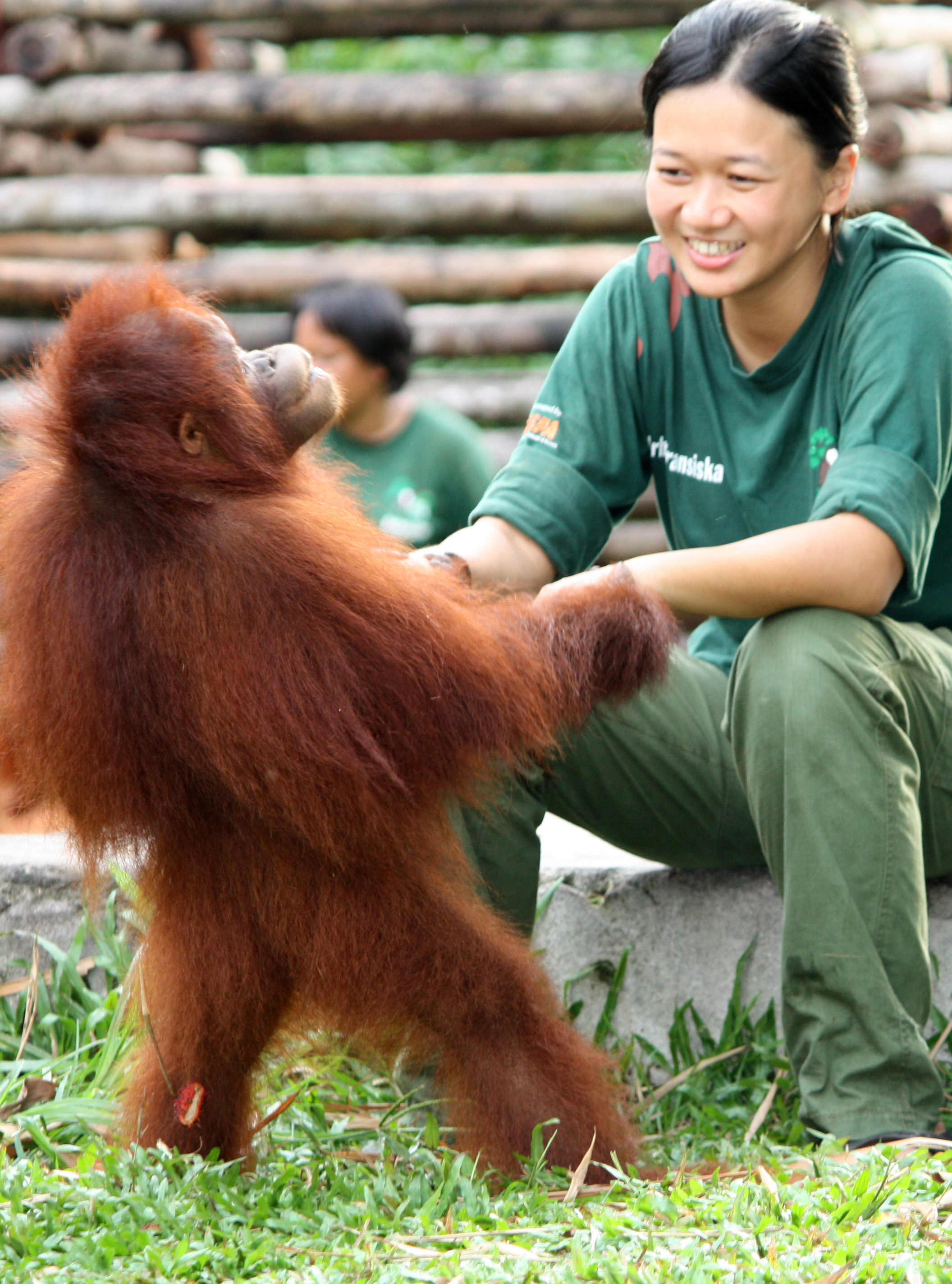 世界動物保護協會