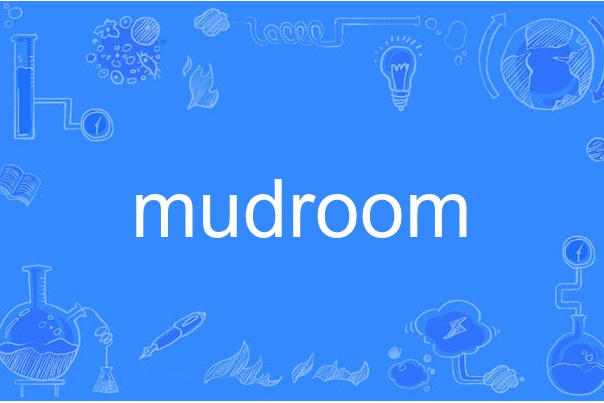 mudroom mudroom