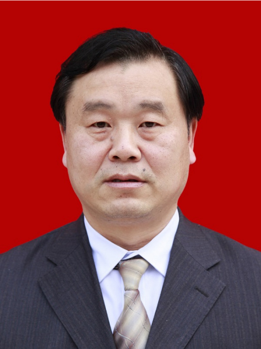 蔡輝(瀘縣人大常務委員會副主任) 蔡輝(瀘縣人大常務委員會副主任)