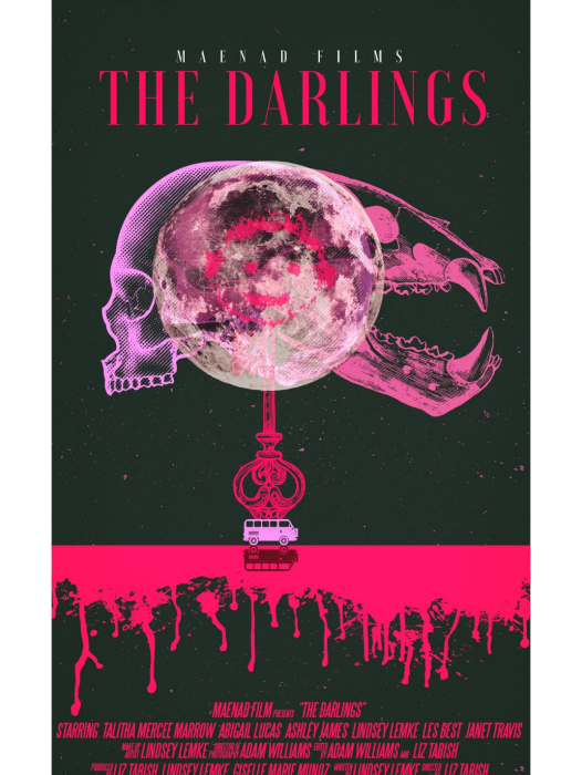 The Darlings(美國2018年Elizabeth Tabish執導的電影) The Darlings(美國2018年Elizabeth Tabish執導的電影)