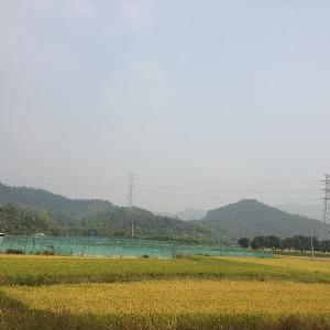 前後潘村
