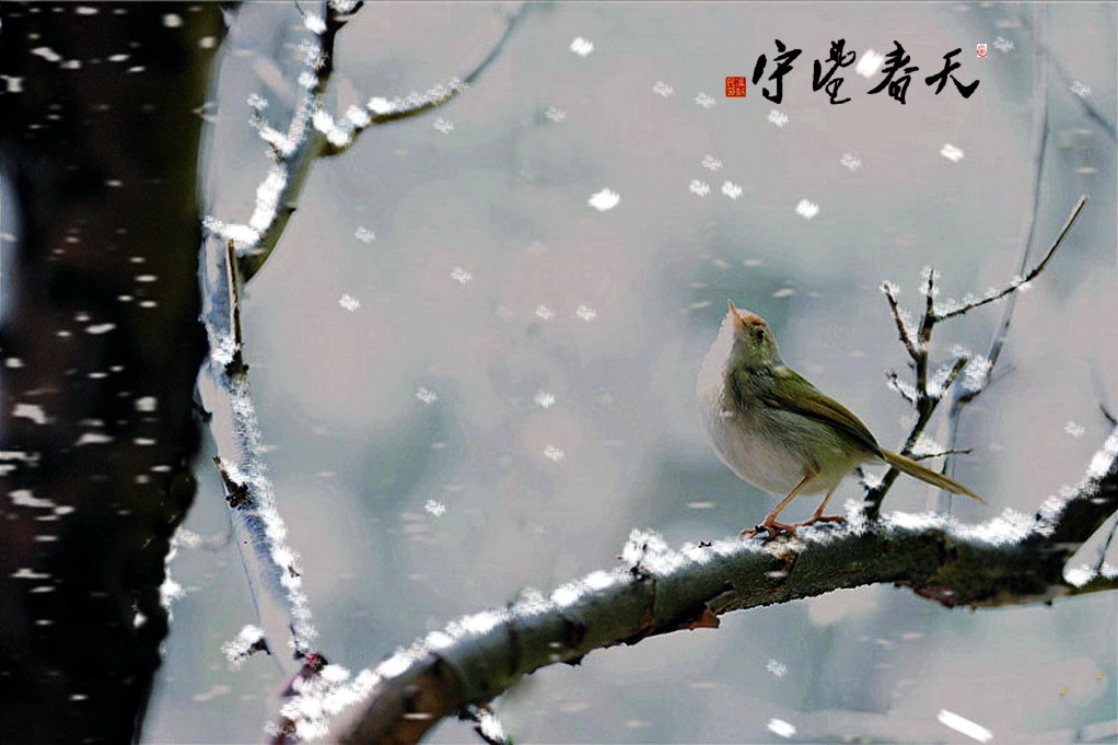 守望春天