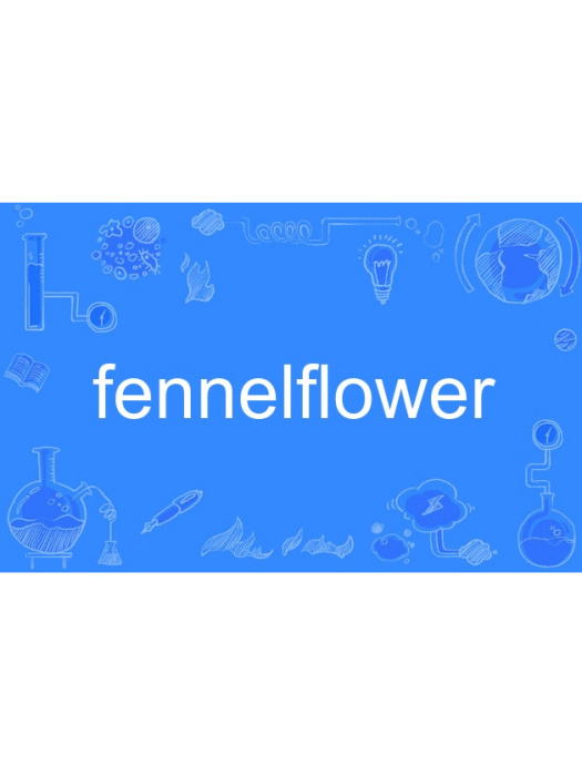 fennelflower fennelflower