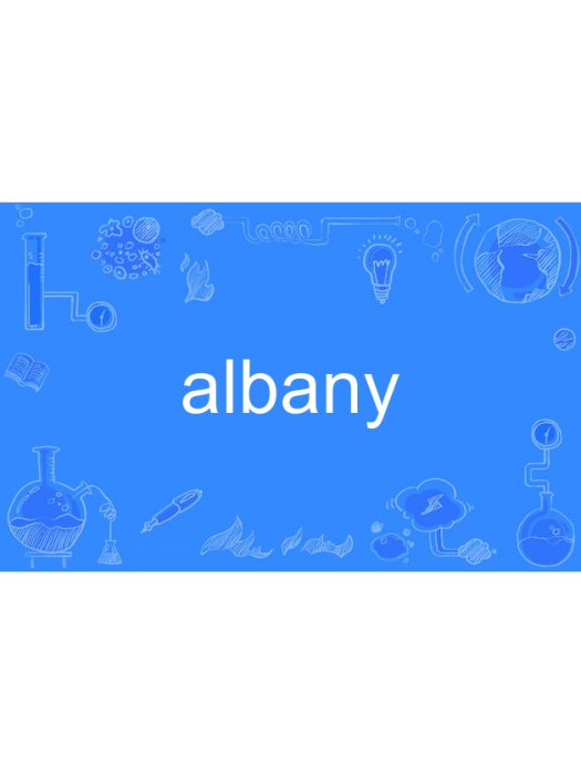 albany albany