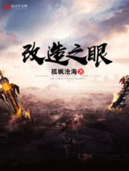 改造之眼 改造之眼