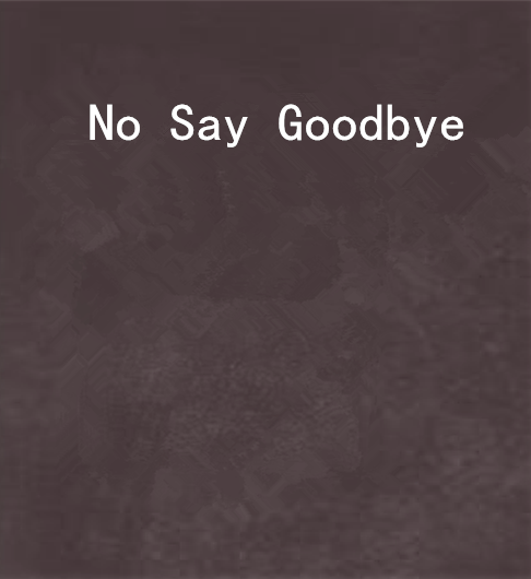 No Say Goodbye