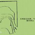舌根濁鼻音 舌根濁鼻音