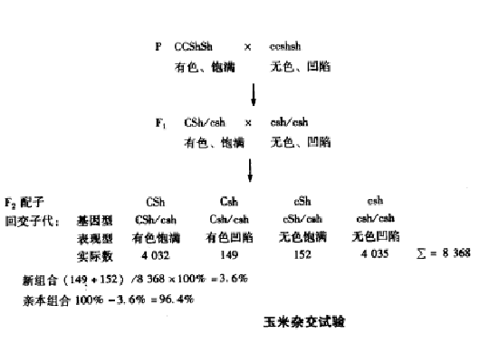 重組頻率 重組頻率