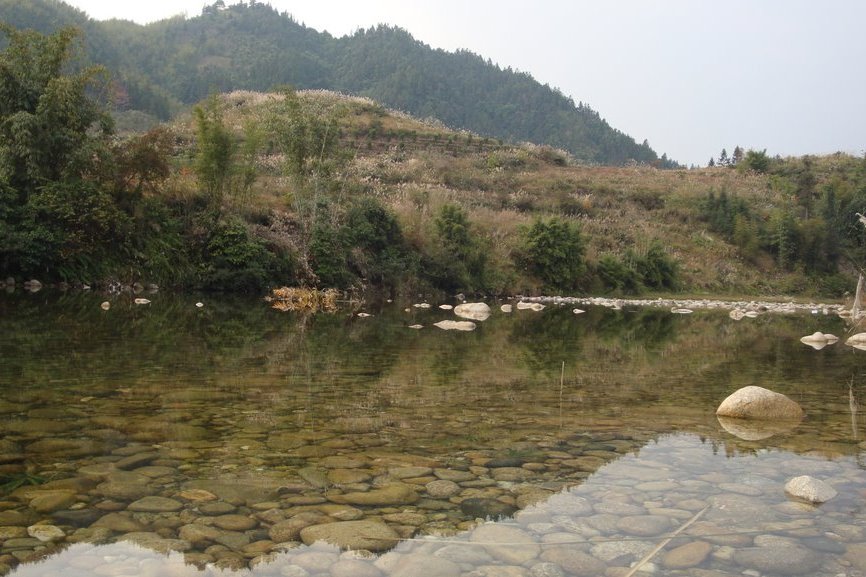 龍拱村 龍拱村