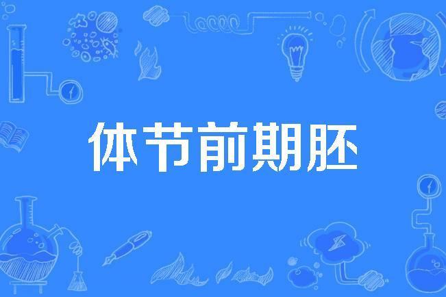 體節前期胚