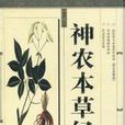 中醫茶療 中醫茶療