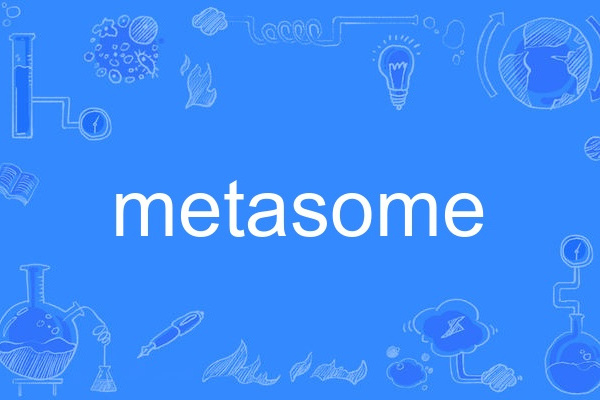 metasome metasome