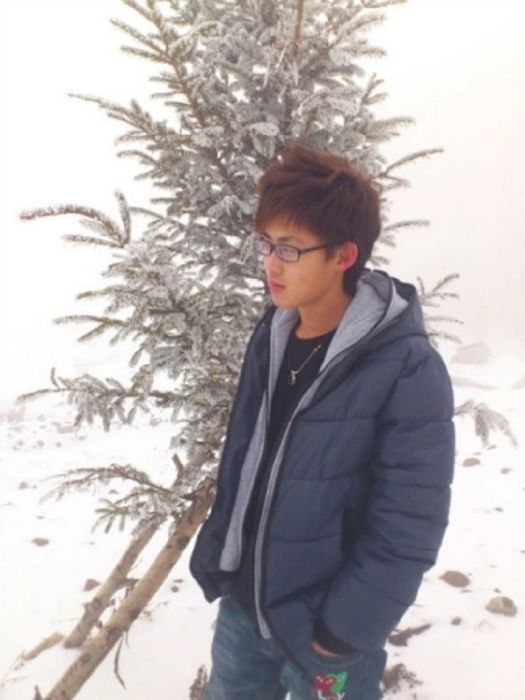 劉迎濤(東北林業大學教授) 劉迎濤(東北林業大學教授)