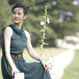 王菁華(大陸女演員) 王菁華(大陸女演員)