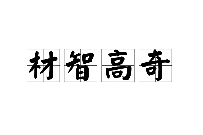材智高奇