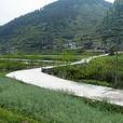 板橋(貴州省遵義市板橋鎮)