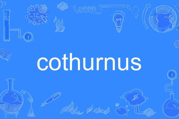cothurnus cothurnus