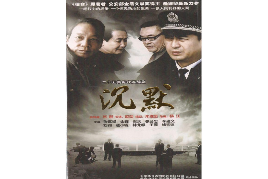 沉默(2010年何群執導的電視劇)